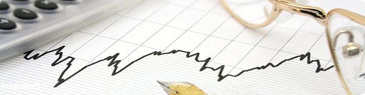 Jaypee Group Investors Annual Report Of Subsidiary Companies